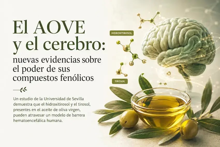 Estudio AOVE y cerebro - Oro del Desierto