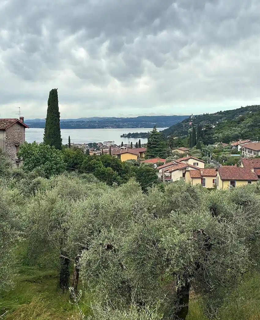 Oro del Desierto - Leone Dro 2026 en Lago de Garda.doc