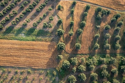 aerial-view-of-countryside-with-field-and-olive-plantation-chalkidiki-greece
